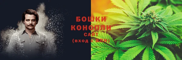 шишки Балахна