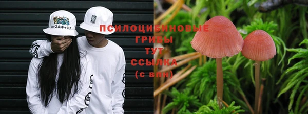 шишки Балахна
