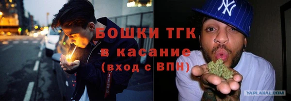 шишки Балахна